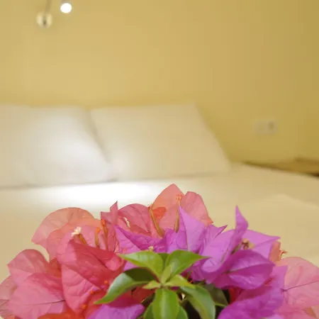 Koc Kekova Bed & Breakfast *