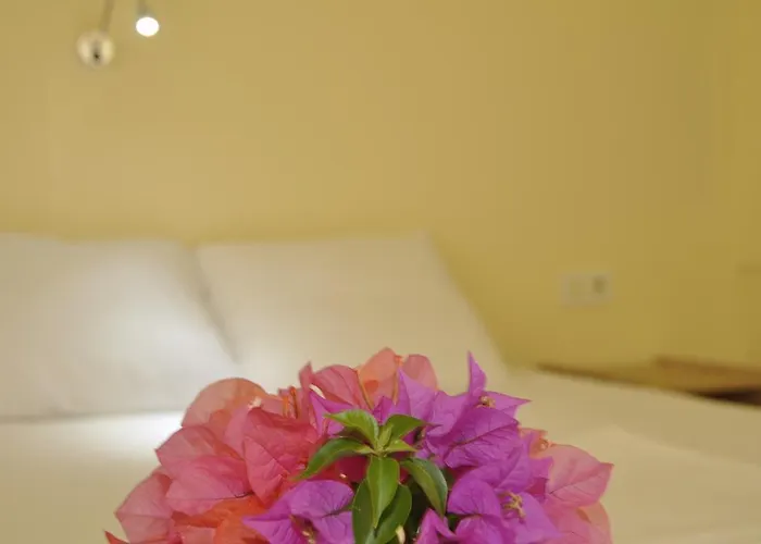 Koc Kekova Bed & Breakfast *