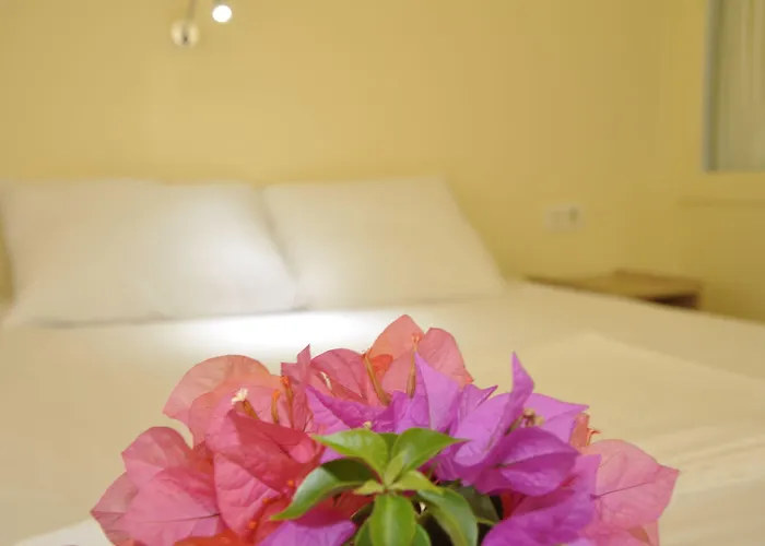 Koc Kekova Bed & Breakfast *