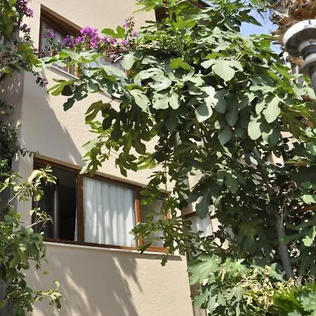 Koc Kekova Bed and Breakfast *